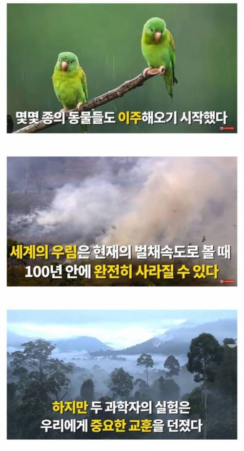 [스압] 황무지에 오렌지껍질 12000톤을 버린 결과.jpg