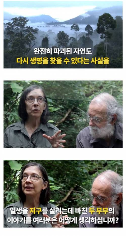 [스압] 황무지에 오렌지껍질 12000톤을 버린 결과.jpg