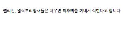 펠리컨이 더우면 하는 것은??