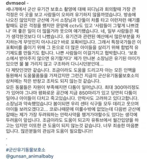 좋은 보호소 입소문 나자