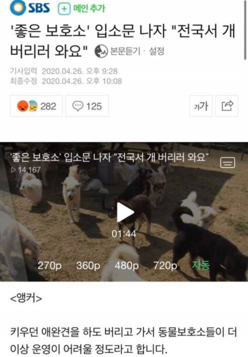 좋은 보호소 입소문 나자