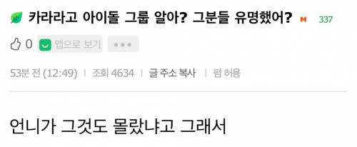 카라라고 아이돌 그룹 알아? 그분들 유명했어?
