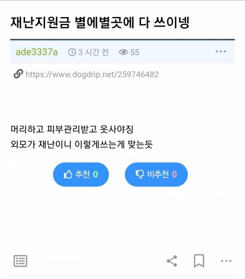 긴급재난지원금 알맞게 쓰는계획세운 유저