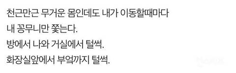 나는 개를 키운것을 후회한다
