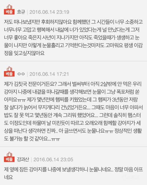 나는 개를 키운것을 후회한다