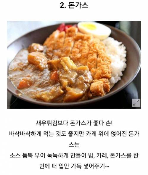 최고의 카레 토핑은?.jpg