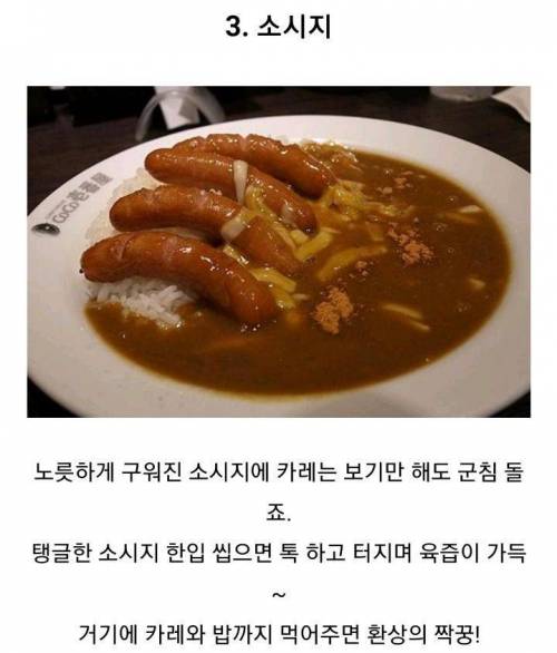 최고의 카레 토핑은?.jpg