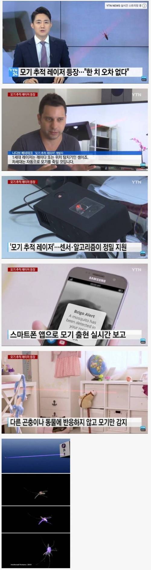 단돈 20만원이면 평생 모기 박멸 가능