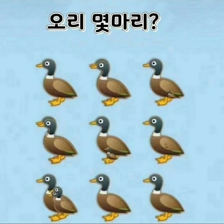 오리는 몇마리일까요?