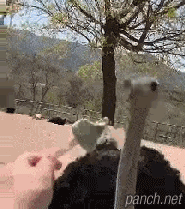 아이스크림 첫경험.gif