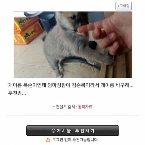 시장에서 강아지 한 마리 샀다