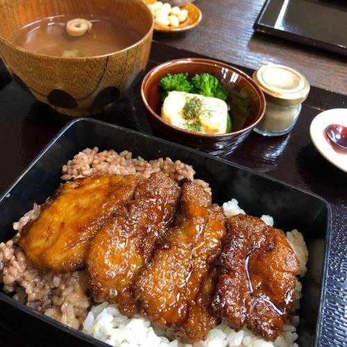 채식주의자들을 위한 장어요리