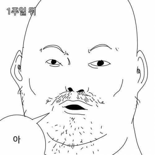 수염.jpg