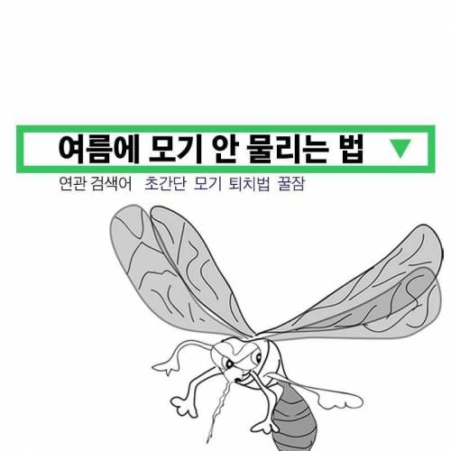 [스압] 30년간 모기연구하신 교수님의 모기피하기 꿀팁