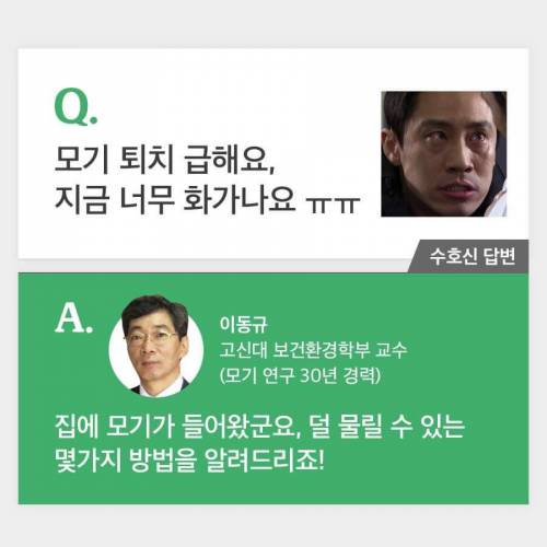 [스압] 30년간 모기연구하신 교수님의 모기피하기 꿀팁