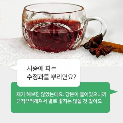 [스압] 30년간 모기연구하신 교수님의 모기피하기 꿀팁