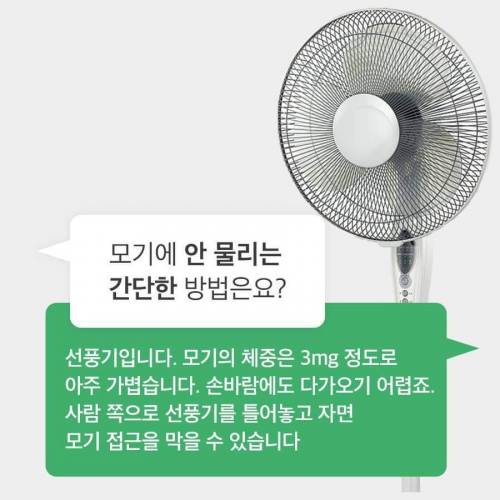 [스압] 30년간 모기연구하신 교수님의 모기피하기 꿀팁