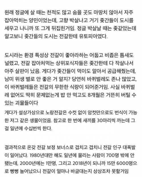 전갈과 전쟁중인 브라질