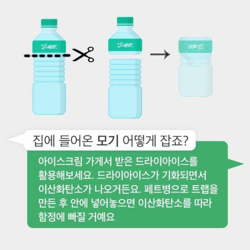 [스압] 30년간 모기연구하신 교수님의 모기피하기 꿀팁