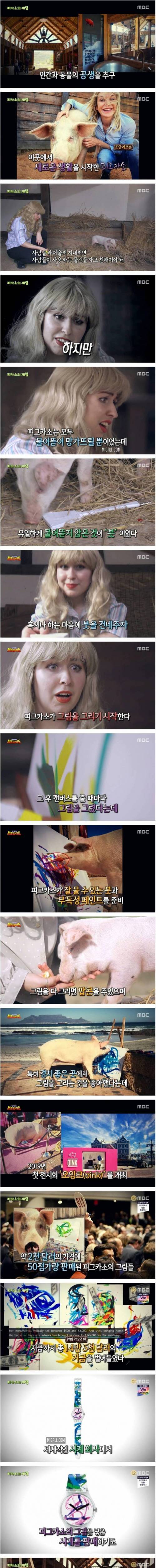 [스압] 남아공 피카소의 재림.jpg