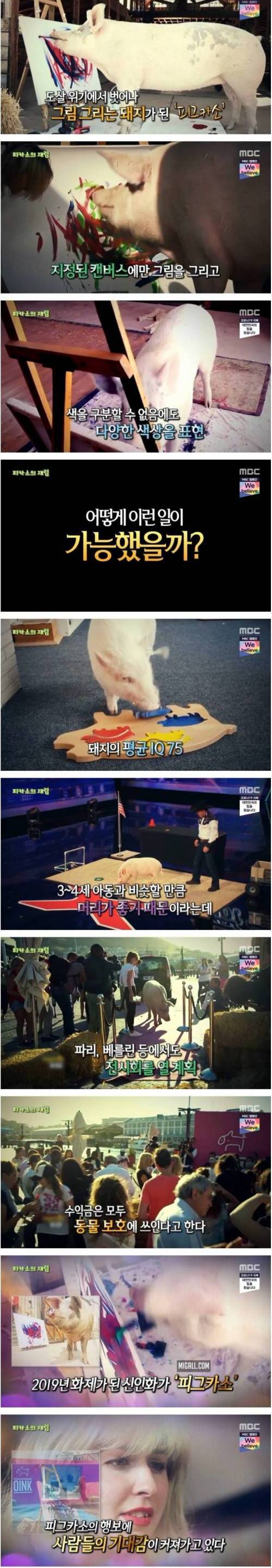 [스압] 남아공 피카소의 재림.jpg