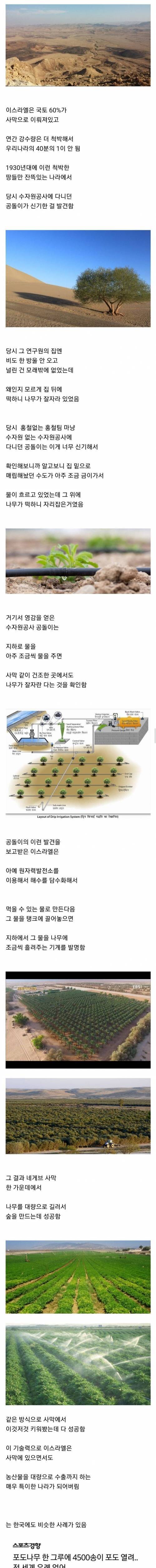 [스압] 이스라엘 vs 한국 작물재배의 혁명