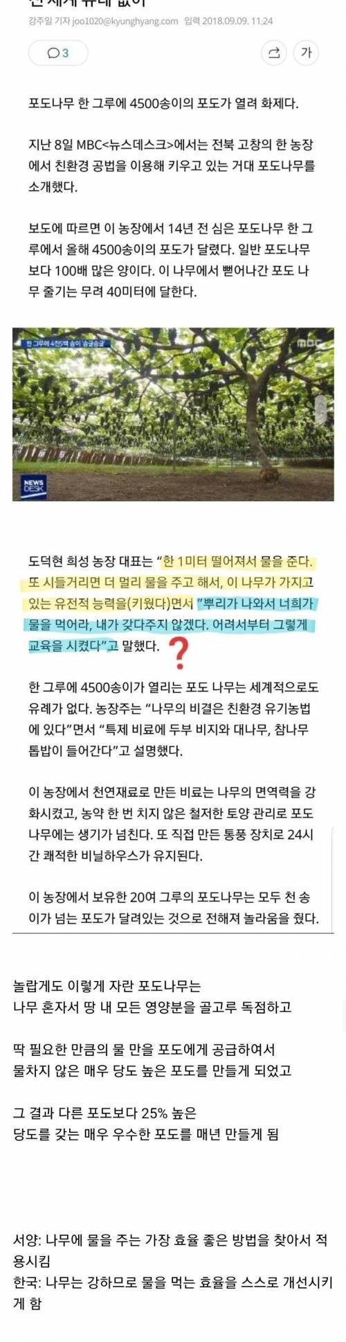 [스압] 이스라엘 vs 한국 작물재배의 혁명