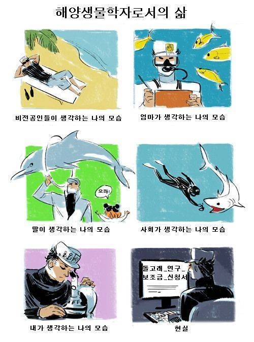 해양생물학자의 삶.jpg