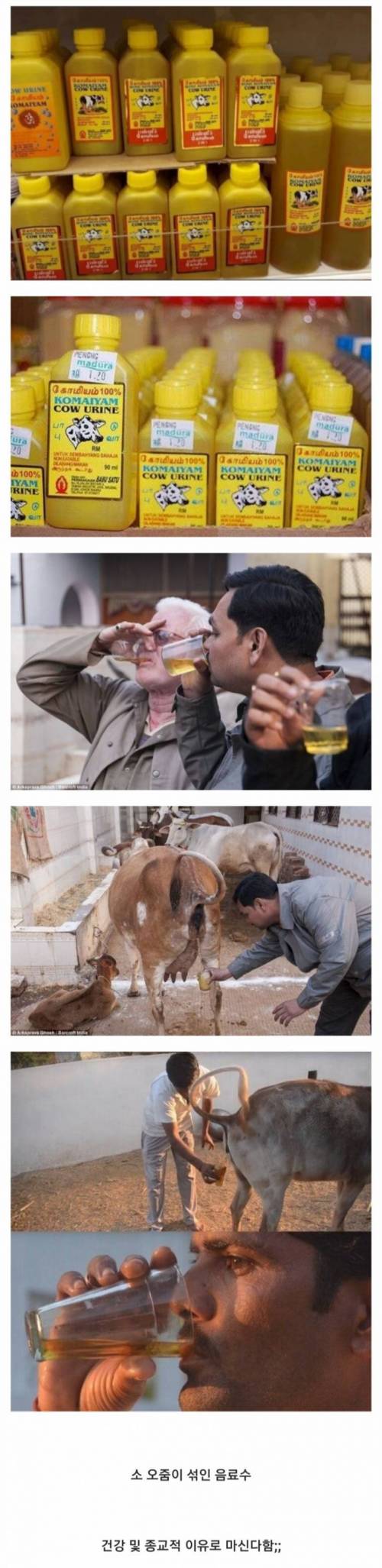 인도에서 판매하는 건강 음료수.jpg