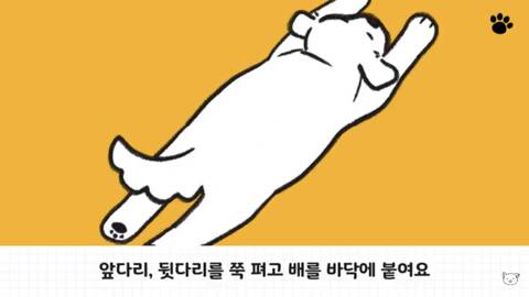 [스압] 강아지 수면 자세 이유.jpg