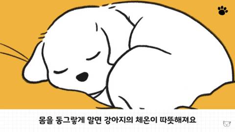 [스압] 강아지 수면 자세 이유.jpg