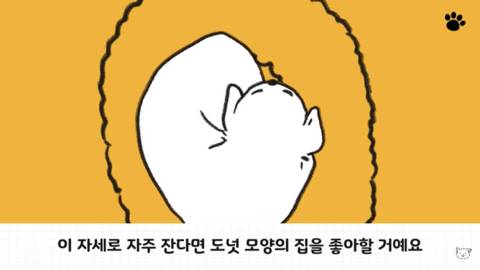 [스압] 강아지 수면 자세 이유.jpg