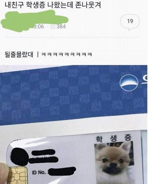 이게 될줄 몰랐지