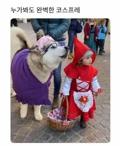 완벽한 코스프레.jpg