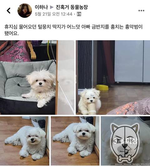 휴지심 도둑이 금반지 도둑 된다.jpg