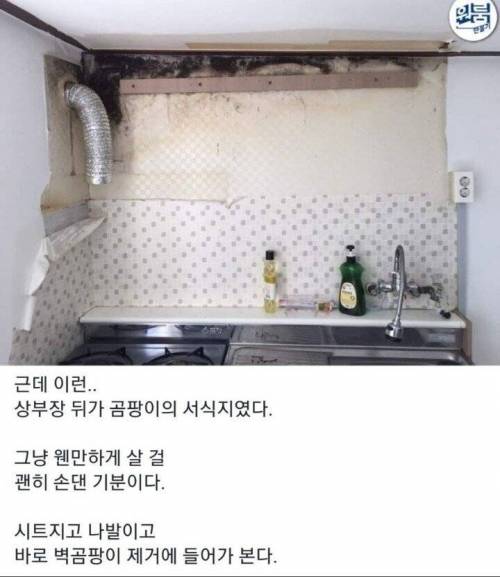 [스압] 옥탑방 셀프 인테리어 ㄷㄷㄷ