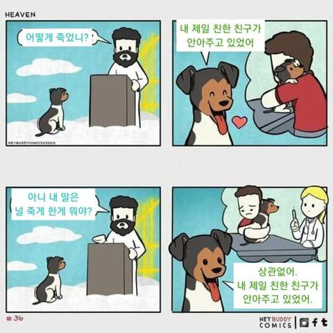 어떻게 죽었니?.jpg