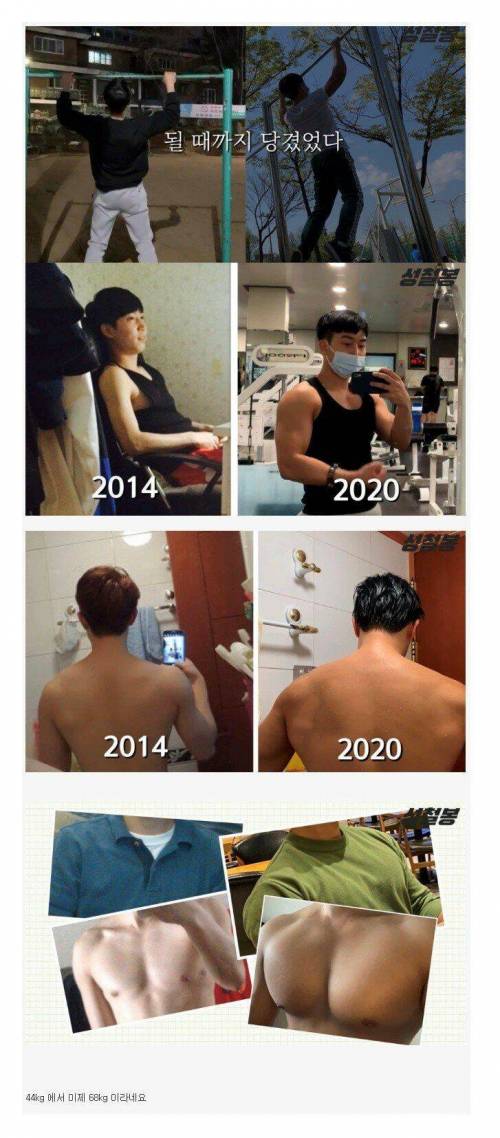 어느 유투버의 6년차 턱걸이 결과물
