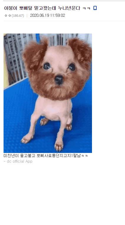 싱글벙글 야갤러.jpg