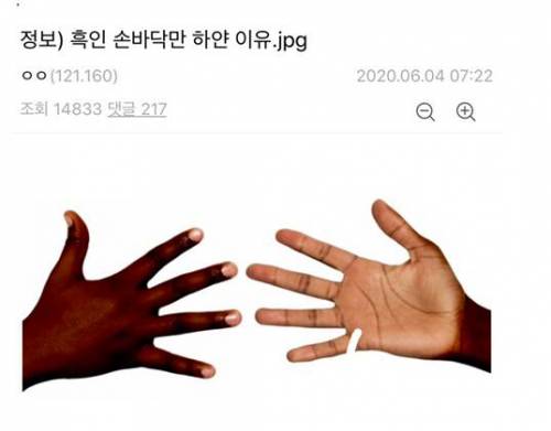 흑인이 손바닥만 하얀 이유.jpg