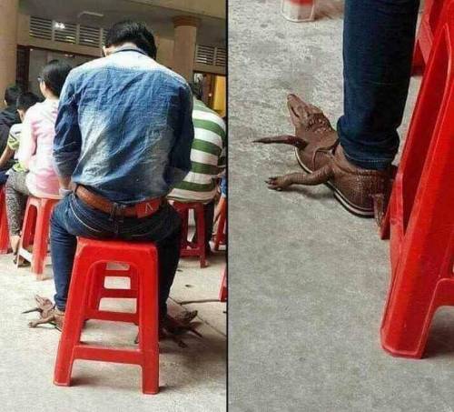 구두가 그냥.jpg