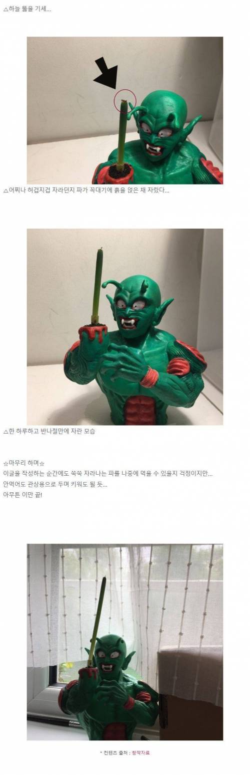 [스압] 파 박력있게 키우는 방법.jpg
