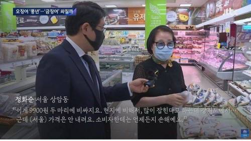 오징어 풍년인데 가격 안 내려가는 이유