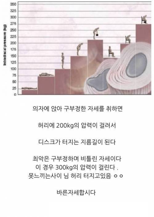 허리 펴고 생활하기의 중요성..jpg