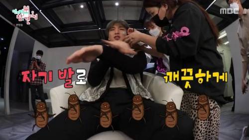 사람이 만지면 온몸을 씻는 생물