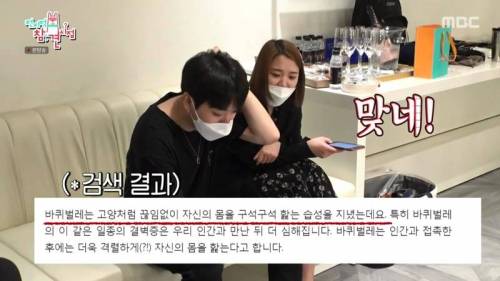 사람이 만지면 온몸을 씻는 생물