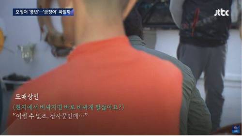 오징어 풍년인데 가격 안 내려가는 이유