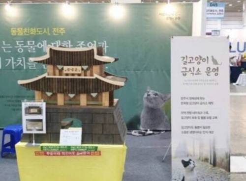 전주시 길고양이 급식소.jpg