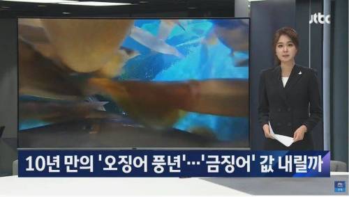 오징어 풍년인데 가격 안 내려가는 이유