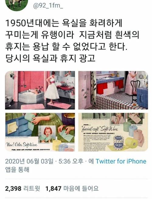 1950년대 욕실과 휴지 유행